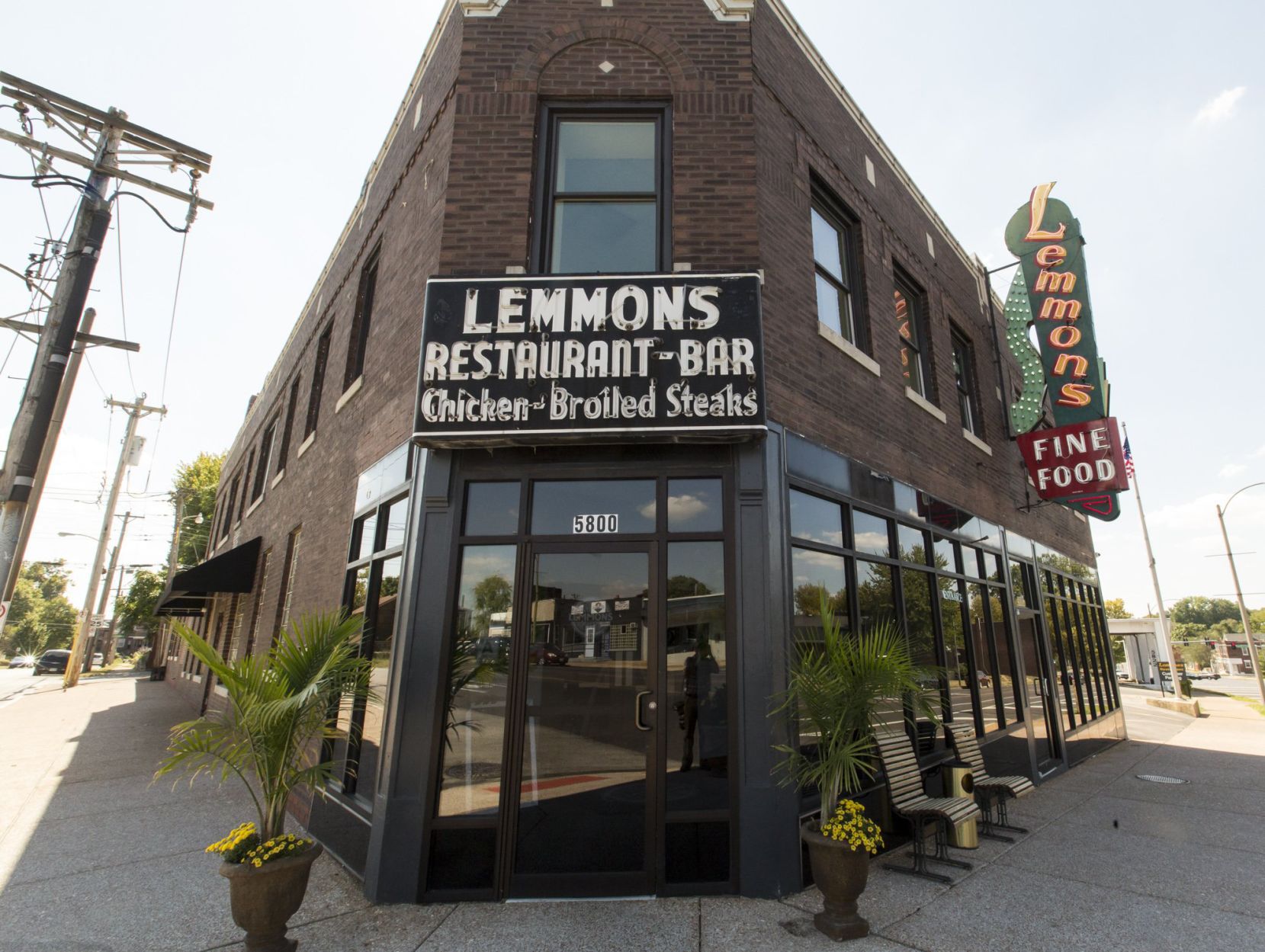 Lemmons by Grbic